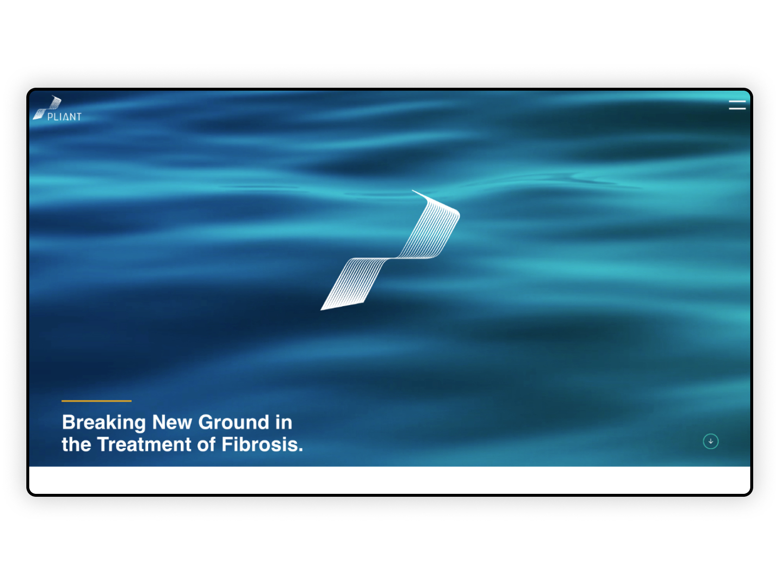 Pliant Therapeutics Preview